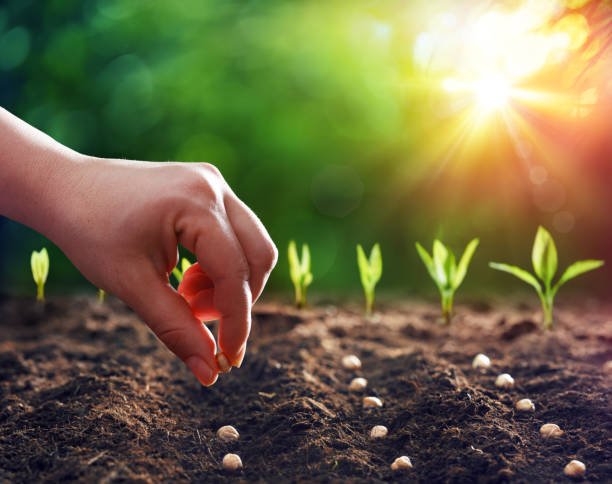 u3-istockphoto-1126541751-612x612-1-2
